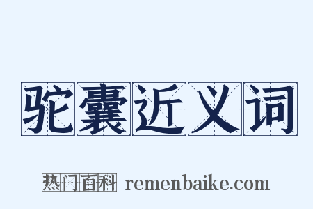 驼囊近义词是什么意思的图片